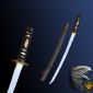 Paul Chen Raptor wakizashi, samurai swords, katana, swords